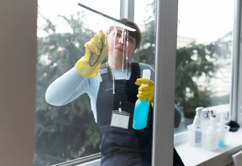 Nettoyage de vitres intérieures et extérieures à Sautel